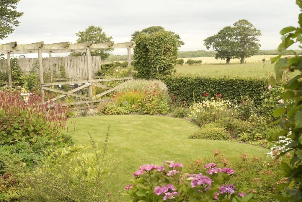 Northumberland Cottage B&B Acklington Kültér fotó